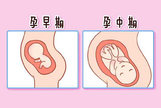 北京哪里有供卵三代试管辅助妊娠机构？