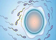 试管代孕供卵包男孩,试管移植一步和二步法怎么选择(2点区别帮你筛选)