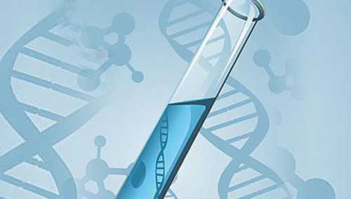 「促排卵食物」促卵泡激素4.44是不是正常