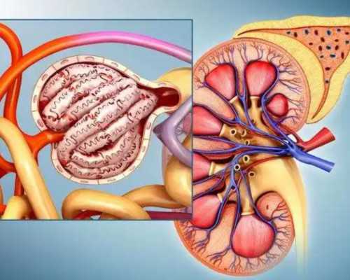 子宫肌瘤的神秘起源：揭开女性生殖健康的秘密