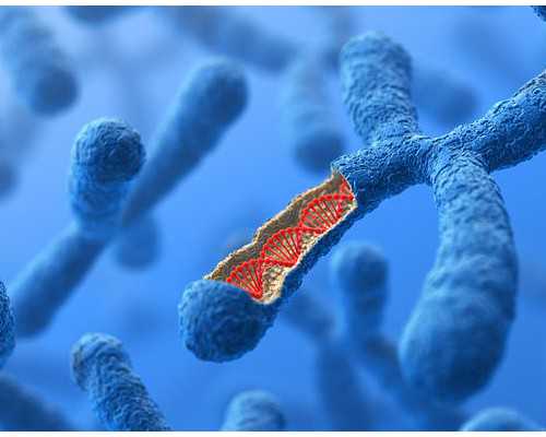 深入剖析子宫内膜异位症：四大分型及诊断方法详解