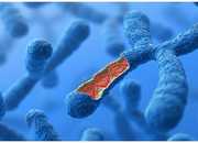 深入剖析子宫内膜异位症：四大分型及诊断方法详解