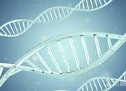 <strong>月经推迟了20天有淡血</strong>