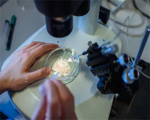 子宫畸形对胎儿有影响吗