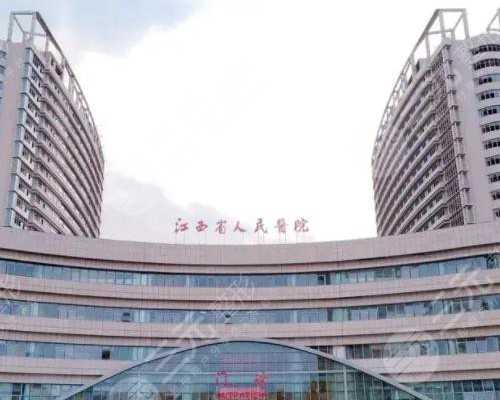 智力与脑勺扁平：是智商的晴雨表，还是只是一个无关紧要的特征？