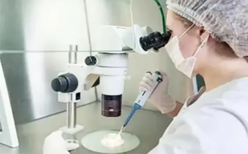 阴道炎真相大白:揭示细菌性阴道炎的成因及预防方法