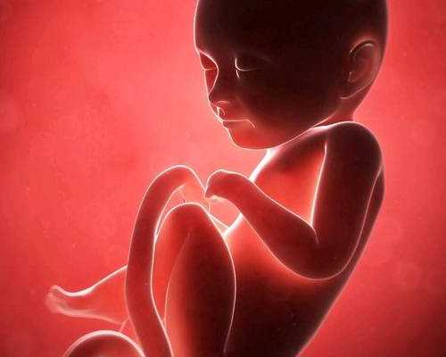 60岁绝经了,北京海军总医院哪个试管医生能接诊?