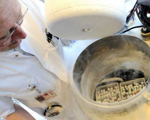 代孕产子中心,最命好的九种女人(关于最命好的九种女人介绍)