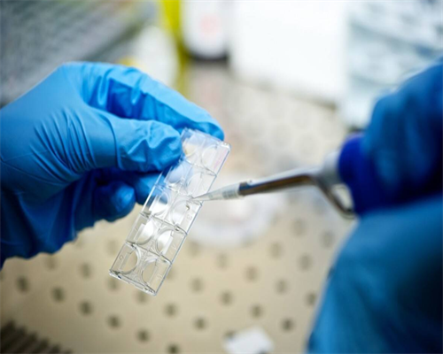 合肥代孕靠谱的中心,第二次做试管需要等待多久?试管移植前补充什么营养?