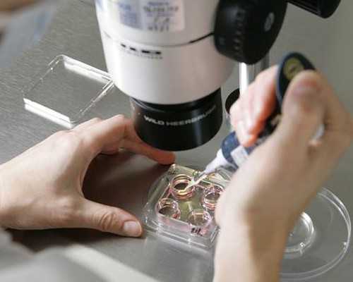 揭秘：性生活不足与子宫肌瘤之间的关系