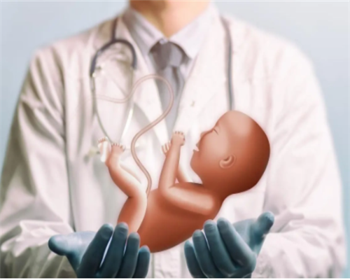 苏州捐卵供卵价格日照供卵价格多少