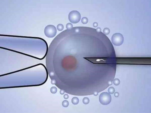 打破辅食添加的迷思，让宝宝健康成长