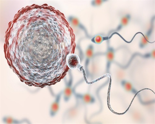 哪里有招代孕,国家卫健委科研所？