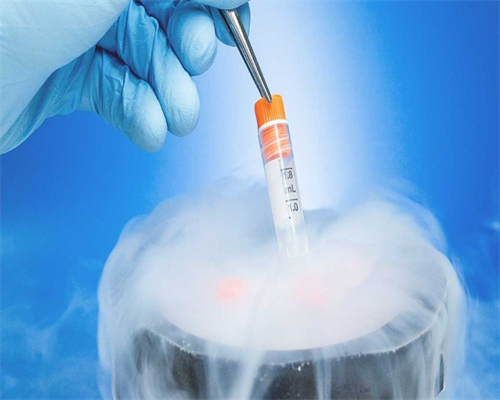 2026年上海十大试管医院排名情况