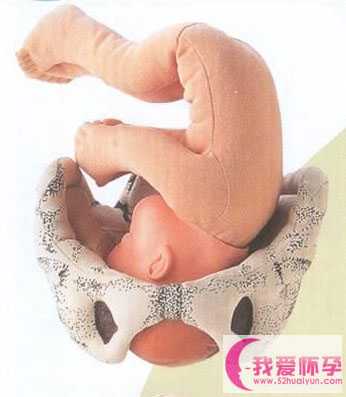 北京供卵自己找人可以吗-北京供卵试管需要多少费用-北京46岁供卵的成功率