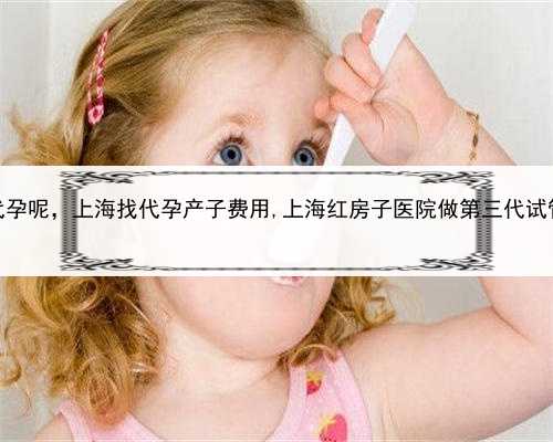 哪些人需要做代孕呢，上海找代孕产子费用,上海红房子医院做第三代试管费用