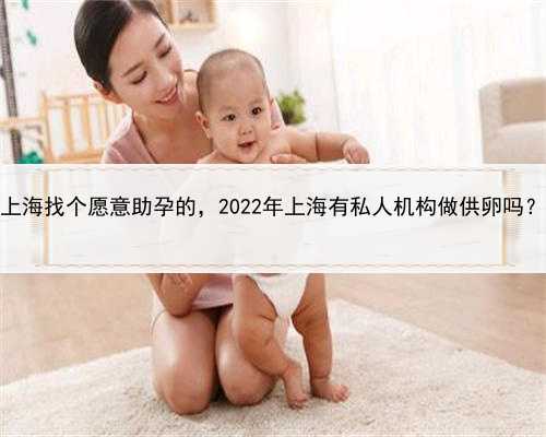 做代孕的多少钱，上海找个愿意助孕的，2022年上海有私人机构做供卵吗？上海