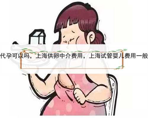 男子找别人代孕可以吗，上海供卵中介费用，上海试管婴儿费用一般是多少钱？