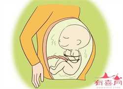 北京代孕什么价钱，在北京做试管婴儿得多少钱？价格贵不贵？